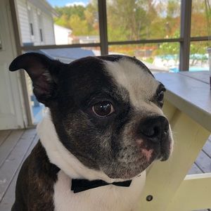 Meet your Posher, Francesco